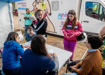 Intensifican la castración y vacunación de perros y gatos en la vía pública