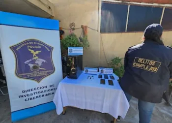 Desarticulan una red de abuso infantil online: 32 allanamientos y cinco detenidos