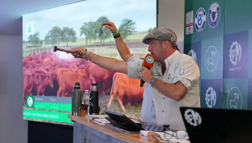 Expoagro: un remate histórico con más de 38.000 cabezas en un día