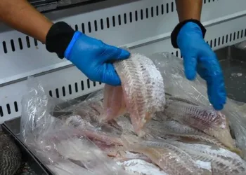 Semana Santa: el pescado aumentará un  5% debido al precio de los combustibles