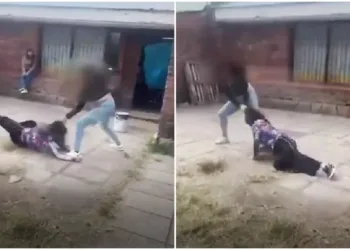 Mar del Plata: golpeó a una joven que tiene una válvula cerebral y compartió el video en redes