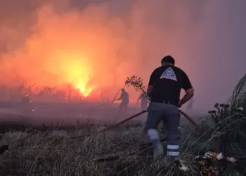 Mar del Plata: hay más de 200 hectáreas consumidas por incendios