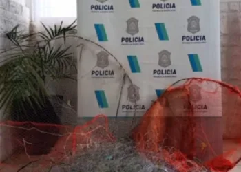 Secuestraron elementos de pesca prohibidos en la Laguna de Gómez