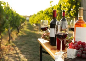 En los últimos 5 años la cantidad de viñedos bonaerenses creció un 50%