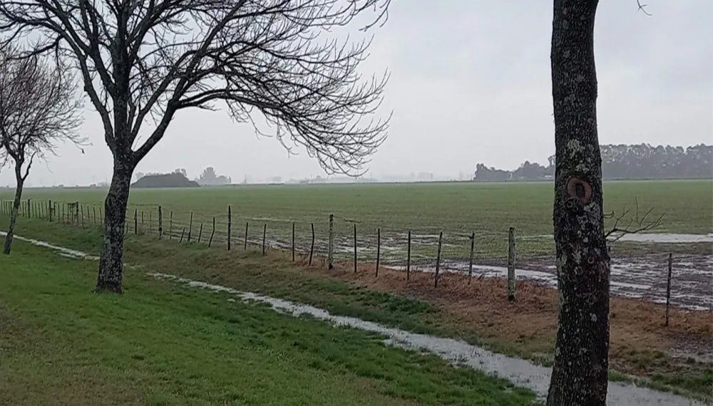 Lluvias generalizadas, pero desparejas en toda la zona