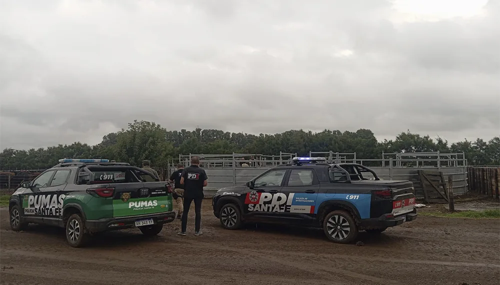 Se empiezan a conocer detalles sobre el robo de ganado a “La Joya Agro”