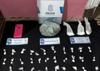 Tras allanamientos secuestraron cocaína,  marihuana y un arma de fuego
