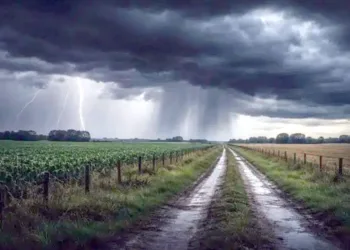 Los registros del Servicio Meteorológico “son fundamentales” para el campo