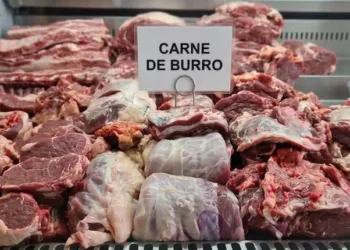 Consumo de carne de burro: recomiendan conocer la procedencia del animal