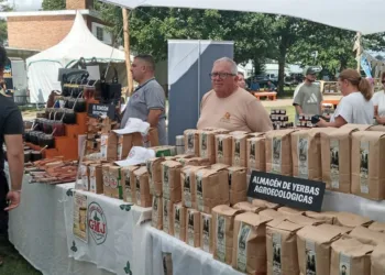 Destacan el éxito del Festival Pampa y el movimiento económico generado