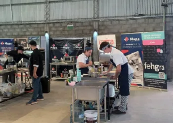 Comenzó ayer el Festival Pampa y continúa hoy con variadas actividades