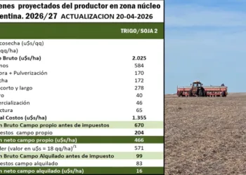 Trigo sí o trigo no, la gran pregunta de los productores