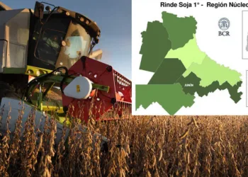 Junín con excelentes rindes de soja, pero con ritmo lento de cosecha