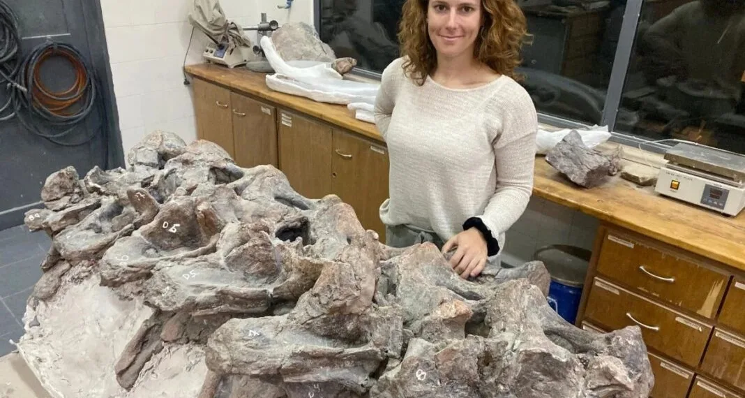 Descubren un nuevo dinosaurio que habitó la Patagonia