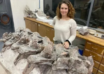 Descubren un nuevo dinosaurio que habitó la Patagonia