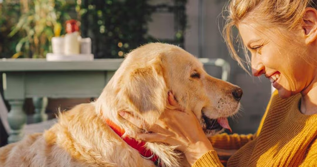 Cinco detalles para mimar a tus “peludos”