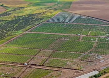 Se construye en Junín uno de los parques solares más grandes de la provincia