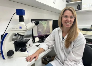 Investigadores preocupados por la falta de financiamiento para la ciencia