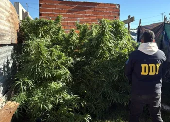 Aprehendieron a un hombre con tres kilos de marihuana