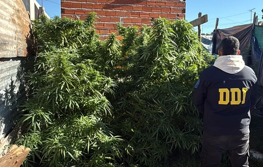 Aprehendieron a un hombre con tres kilos de marihuana