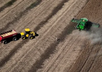 La liquidación de divisas del agro subió fuerte durante marzo