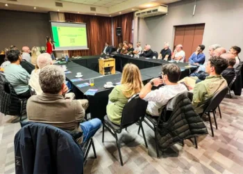 Líneas de financiamiento para fortalecer el sector productivo local