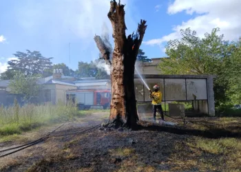 Bomberos sofocaron distintos focos de incendio