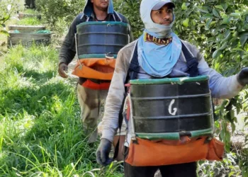 RENATRE actualizó la Prestación por Desempleo