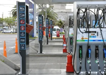 La nafta no bajará, pese al desinfle global del crudo