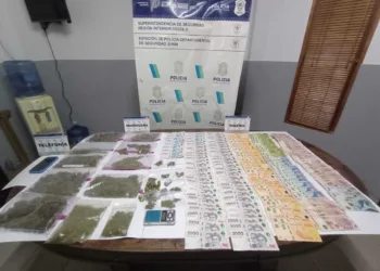 Una mujer aprehendida por tenencia de drogas para comercialización