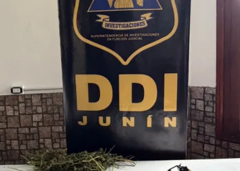 Un hombre fue detenido por estafa y tenencia ilegal de arma de fuego