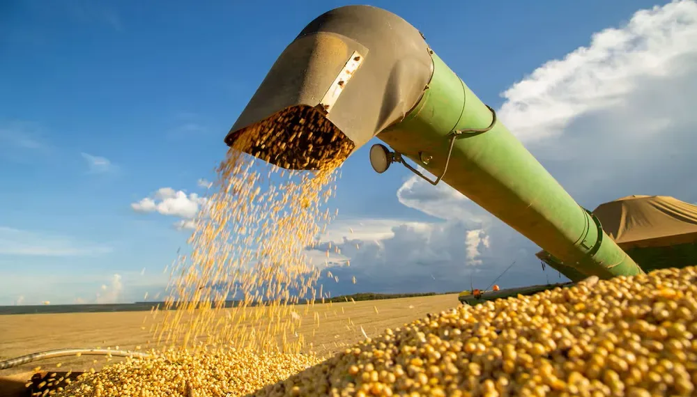 Proponen nuevo sistema de control de semillas para mejorar la fiscalización