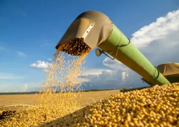 Proponen nuevo sistema de control de semillas para mejorar la fiscalización