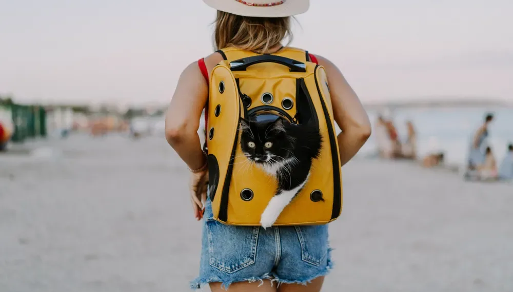 La mayoría de los argentinos elige alojamientos «pet friendly»