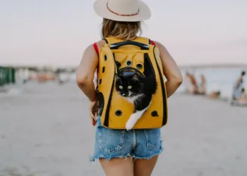 La mayoría de los argentinos elige alojamientos «pet friendly»