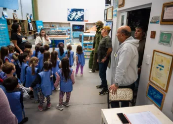 Alumnos del Jardín N°913 visitaron el MALVAR