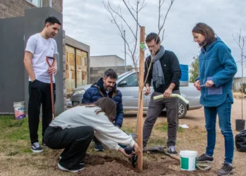 Edición 2026 de «Mi vereda, nuestros árboles»: entrega de 1.000 nuevos ejemplares