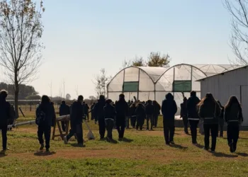 El “Proyecto Nativas” promueve educación ambiental y participación estudiantil