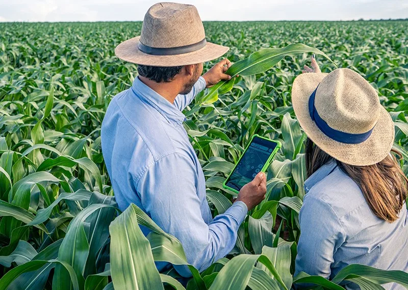 Sin atajos financieros, comienza una nueva era para el campo