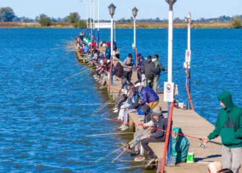 Destacan el movimiento económico y familiar que genera el resurgimiento de la pesca