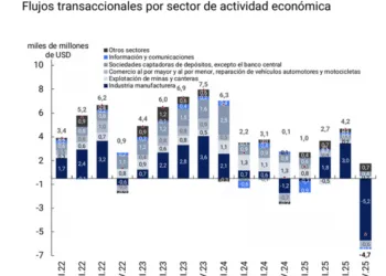Cuestionan los datos de inversión extranjera directa