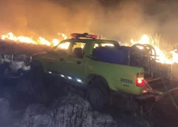 Incendio de pastizales sobre la RN 7