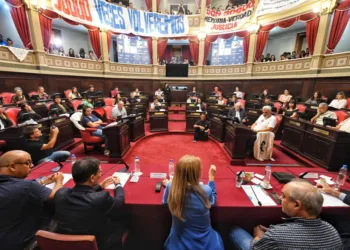 Se conformaron las comisiones en el Senado bonaerense: en cuales están Petrecca y Arata