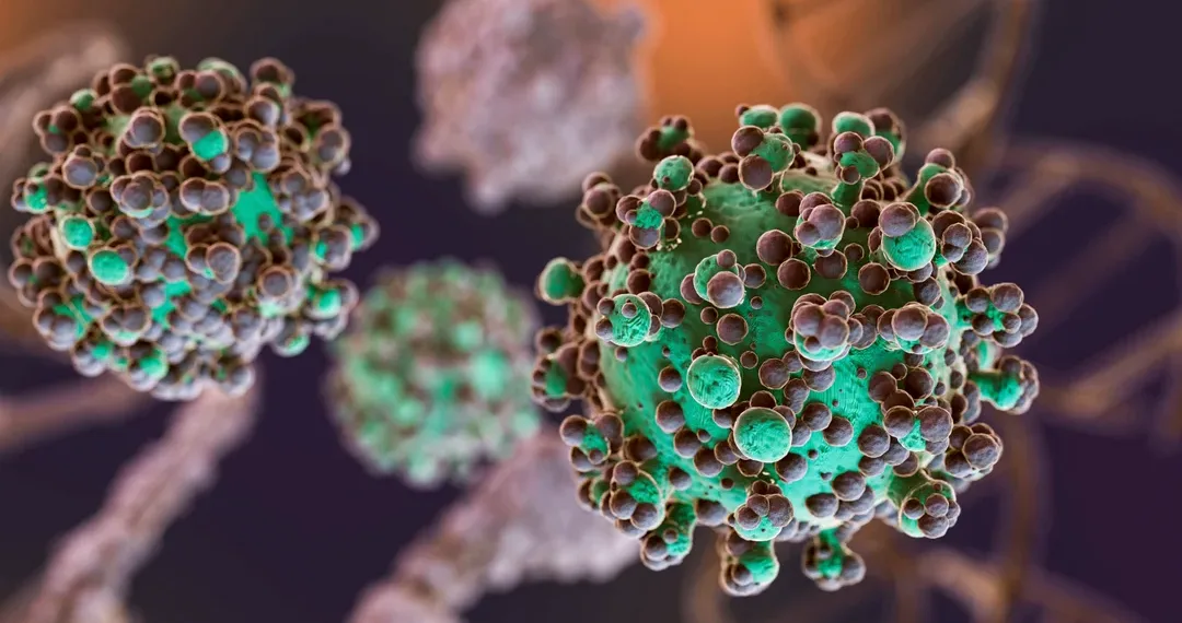 Hantavirus: se identificaron 3 nuevos casos en Argentina