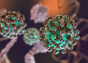 Hantavirus: se identificaron 3 nuevos casos en Argentina