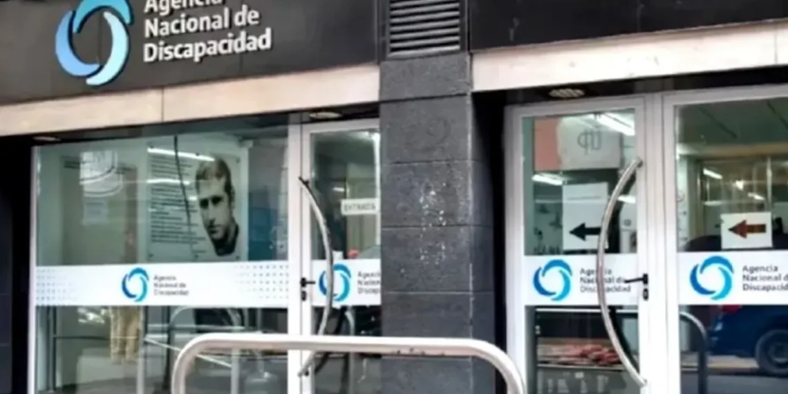 ANDIS: el Gobierno detectó sobreprecios en compras ortopédicas