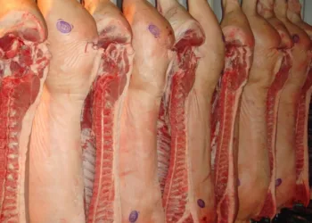Lincoln refuerza la prevención de la triquinosis