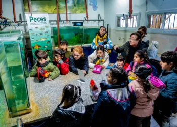 Concientización ambiental para alumnos de la Escuela N°15 de Agustina