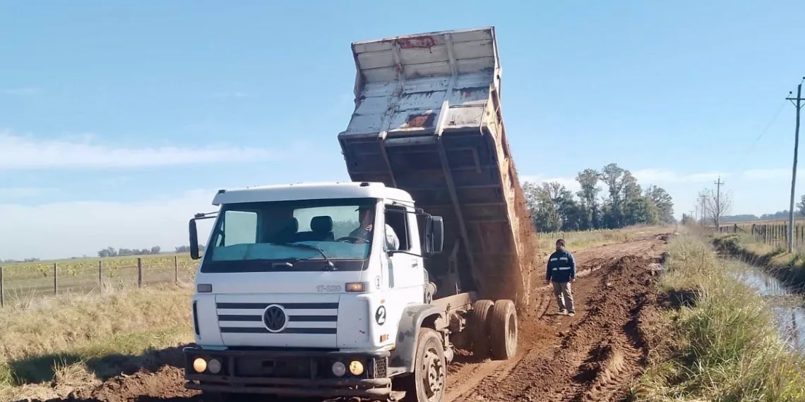 Trabajos de Vialidad rural en caminos de Nueve de Julio