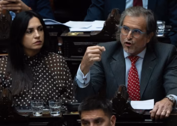 El oficialismo logró aprobar la Ley Hojarasca en Diputados
